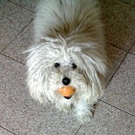 Es la mayor de la casa, y la más cariñosa.