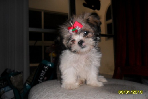Lia a sus 2 meses. Lia a sus 2 meses.