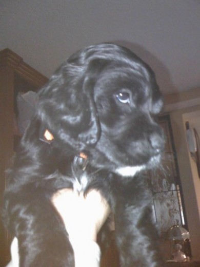 Con 2 meses Con 2 meses