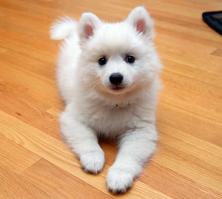 es adorableeeeeeeeeeeeee!!
