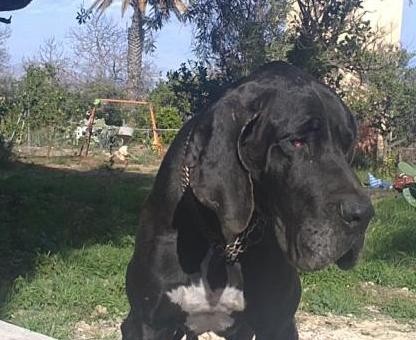 mi morita! solo hace 4 dias que la tengo! mi morita! solo hace 4 dias que la tengo!