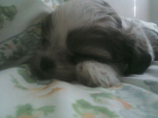 Morning sunshine!! Morning sunshine!!