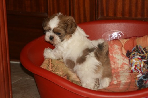 ESTE ES MI CHIQUITIN! ESTE ES MI CHIQUITIN!