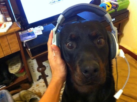 jugando xbox :)