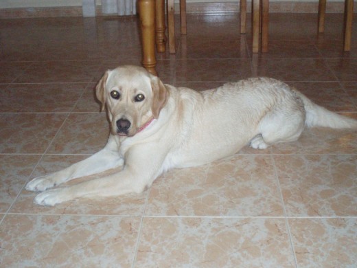 Bimba despues de bañarse en la piscina!