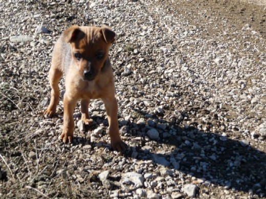 Con cuatro meses ya me gustaba andar por la montaña.