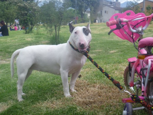 la niña bonita 