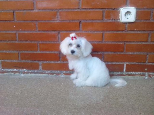 AQUÍ TIENE 7 MESES AQUÍ TIENE 7 MESES