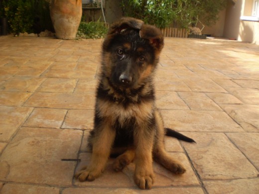 Con 4 meses Con 4 meses