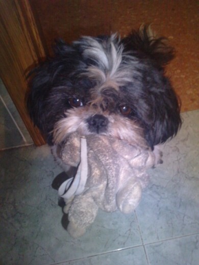 yacko con su peluche!! yacko con su peluche!!