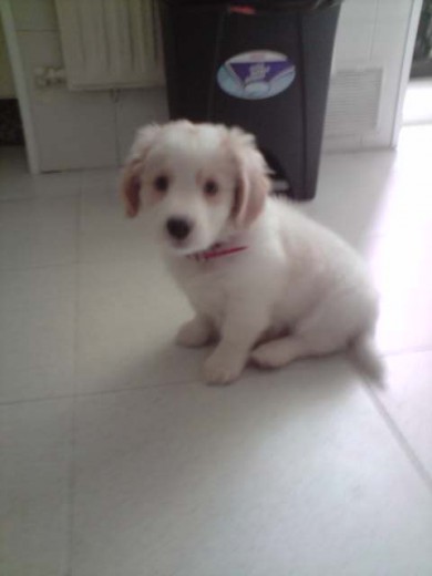 Ursus con 3 meses Ursus con 3 meses