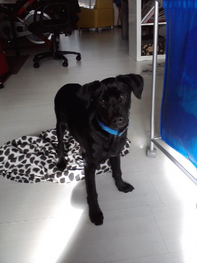 Enzo , la cosa más linda del mundo Enzo , la cosa más linda del mundo