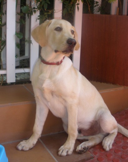 Vincent con 5 meses Vincent con 5 meses