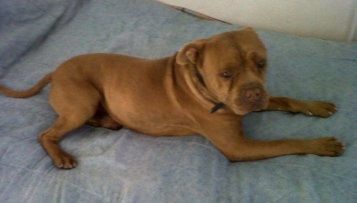 QUE RUDO ME VEO!! QUE RUDO ME VEO!!