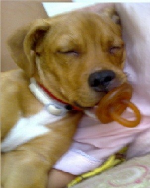 tan tierno durmiendo con su chupete puesto! jaja