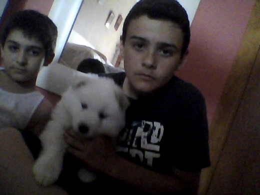 yo i mi perro yo i mi perro