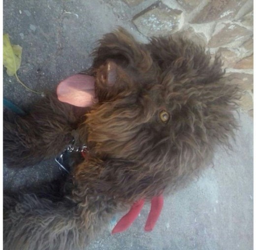 Mi chiquitina Mi chiquitina