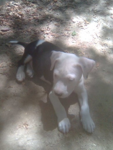 2 meses 2 meses