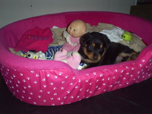 Mi princezaaa Kayla!!! ♥ :) Mi princezaaa Kayla!!! ♥ :)