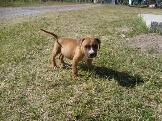KAISER CUANDO TENIA 2 MESES