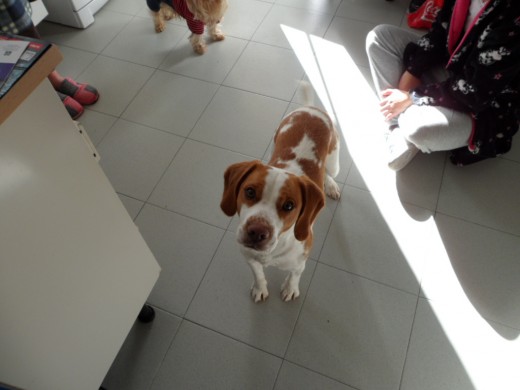 Este es mi bebé Pancho Este es mi bebé Pancho