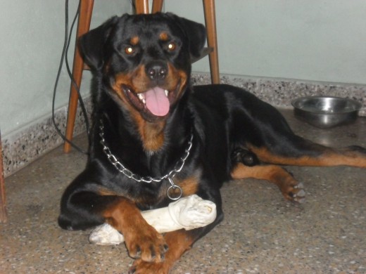 el mas lindo!!!!