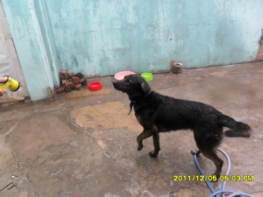 MI NEGRA HERMOSA JUGANDO CON AGUA EN NUN DIA DE MUCHO CALOR =) T AMO HIJA MIA =D MI NEGRA HERMOSA JUGANDO CON AGUA EN NUN DIA DE MUCHO CALOR =) T AMO HIJA MIA =D