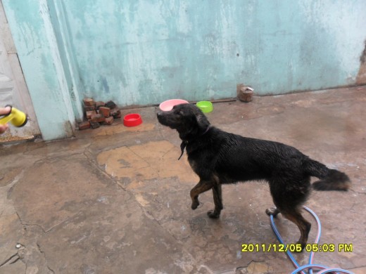 MI NEGRA HERMOSA JUGANDO CON AGUA EN NUN DIA DE MUCHO CALOR =) T AMO HIJA MIA =D