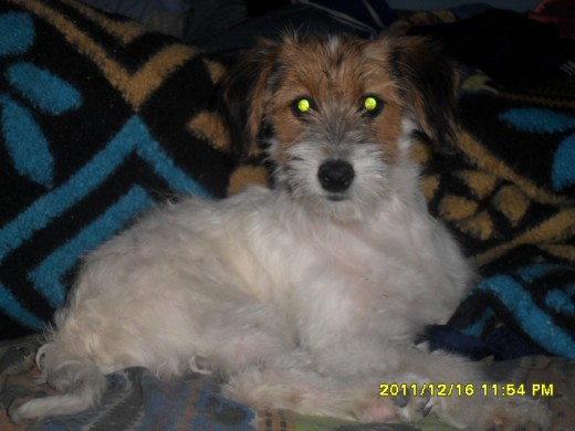 LA PERLA DE MIS OJOS JEJE HACE HONOR ASU NOMBRE !!!! MI NENA HERMOSA !!!!!! LA PERLA DE MIS OJOS JEJE HACE HONOR ASU NOMBRE !!!! MI NENA HERMOSA !!!!!!