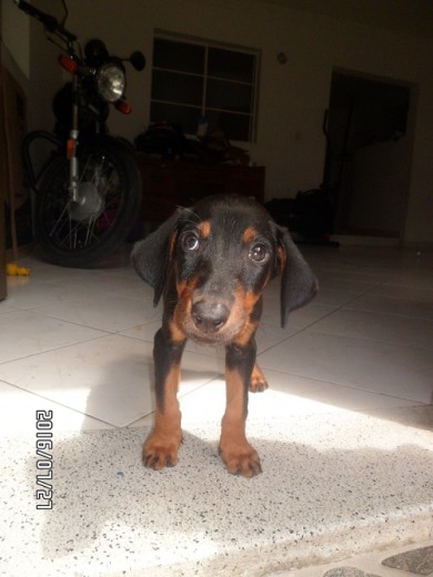 mi bebe en su tercer dia en casa mi bebe en su tercer dia en casa