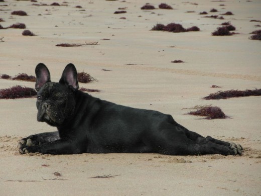 Tomando un descanso en la playa :)