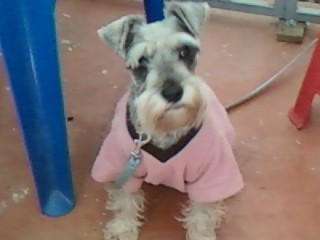 Tan linda!!!!!!! Tan linda!!!!!!!