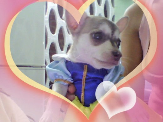 ESTA ES MI BB PRINCESA CUANDO CUMPLIO 6 MESES AMI LADO ,,, ESTA ES MI BB PRINCESA CUANDO CUMPLIO 6 MESES AMI LADO ,,,