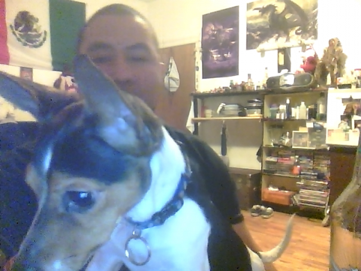 yo y perros yo y perros