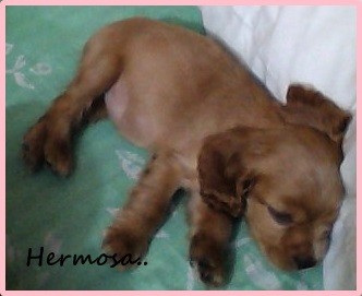 TAARA DESCANSANDO TAARA DESCANSANDO
