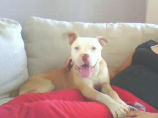 Spike a los 6 meses