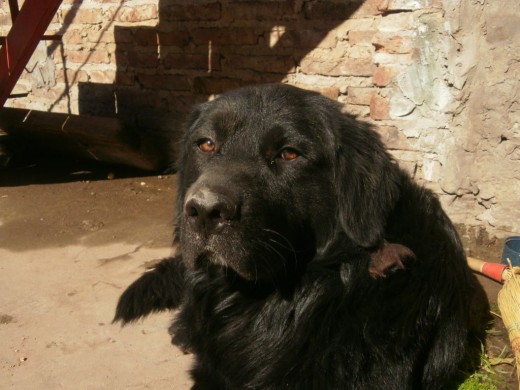 BELLO!!!!!!!
BELLO!!!!!!!