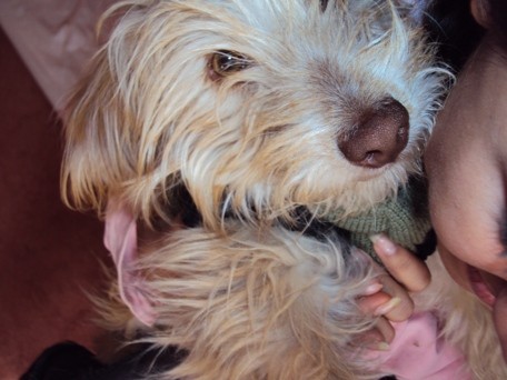 mii CaCHooRRiitoo...¡¡¡
TiieRnooo...¡¡¡
*.* mii CaCHooRRiitoo...¡¡¡
TiieRnooo...¡¡¡
*.*
