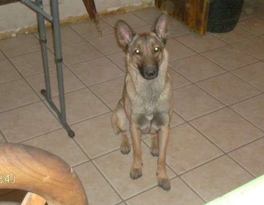 Amiga de todo el que le de comida jajaja