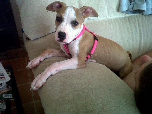 Mii goorda en el sofaa como una marquesa! ^^ Mii goorda en el sofaa como una marquesa! ^^