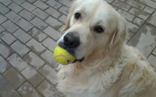 Jugando con la pelota.