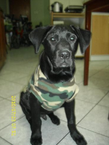 Tonny con 4 meses y una semana Tonny con 4 meses y una semana