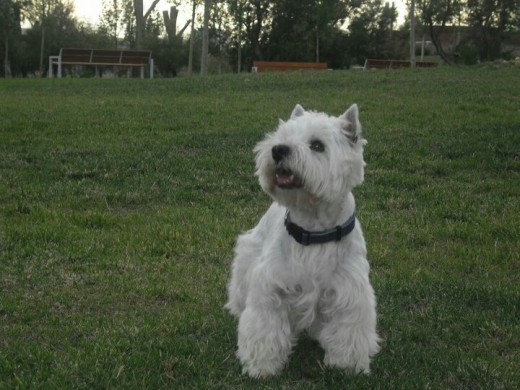 layka pendiente d la pelota para jugar jejeje q peluchosa sale aki 