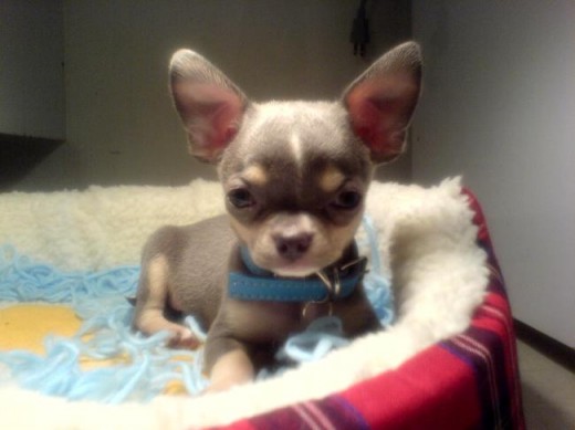 A que soy guapo =P A que soy guapo =P