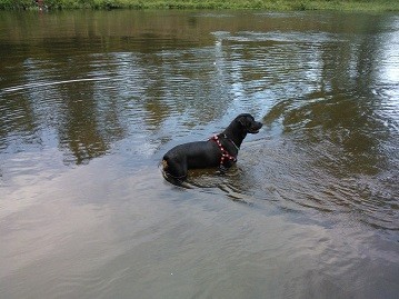 Paseo en el río verano 2015