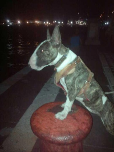 Viendo el mar bajo la luz de la luna en el Malecon de Veracruz.