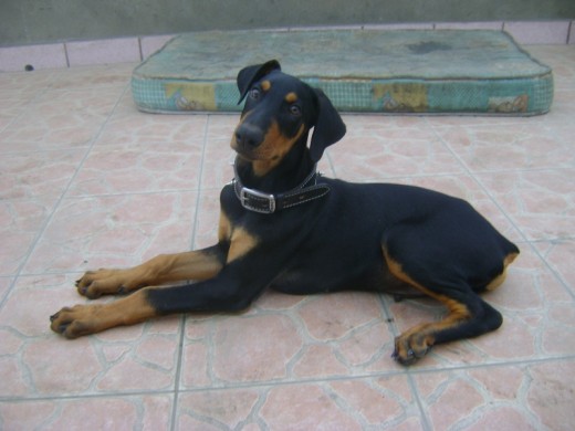Descansando.. Descansando..