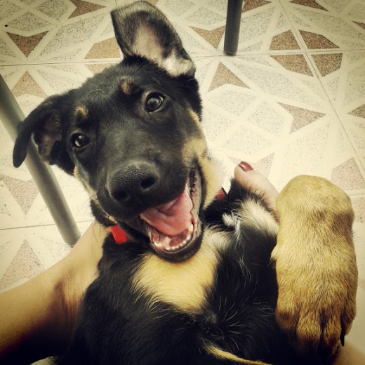 Aquí tenía 2,5 meses