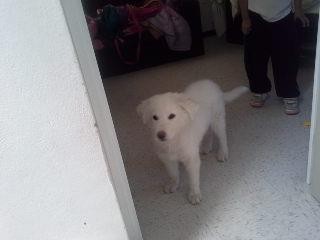 mi batman hermoso mi batman hermoso