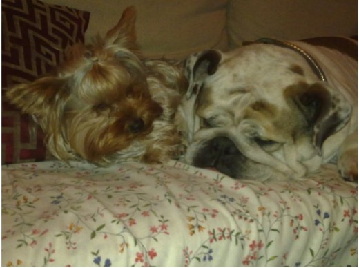 durmiendo con la gordita Sasha durmiendo con la gordita Sasha